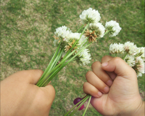 Screenshot_20200617-155945