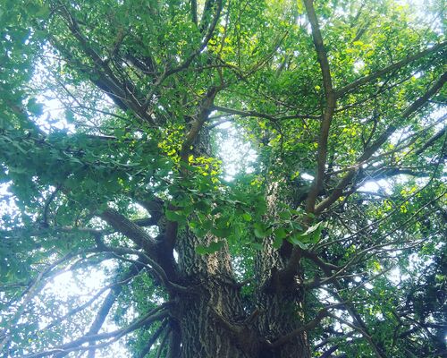 IMG_20200721_102354_494