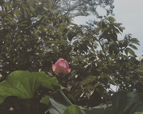 IMG_20200722_234655_343