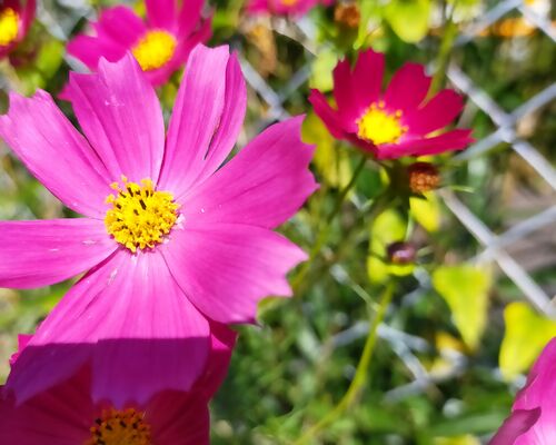 IMG_20211010_171259_292