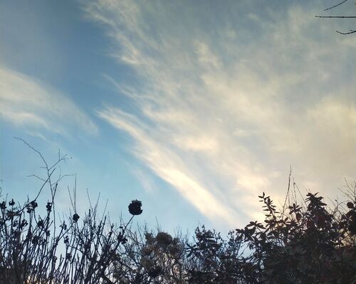 IMG_20220131_200551_320