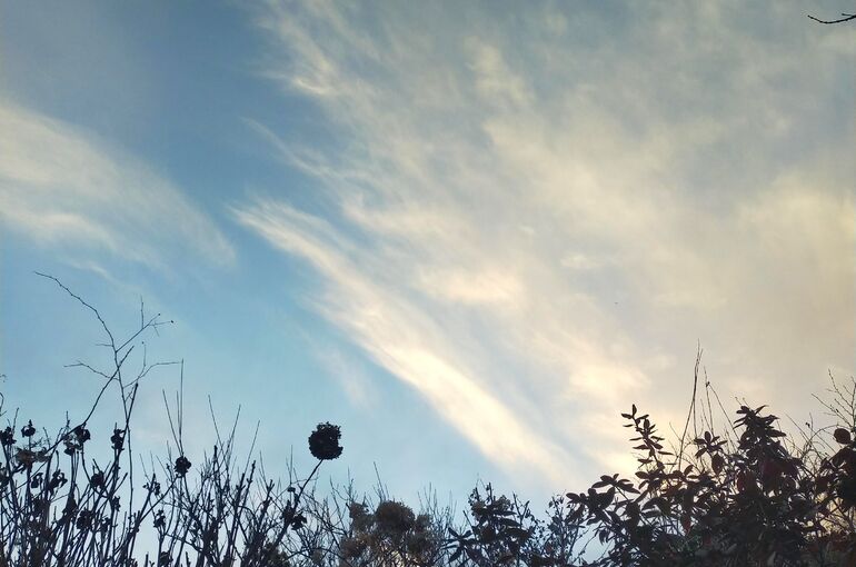 IMG_20220131_200551_320