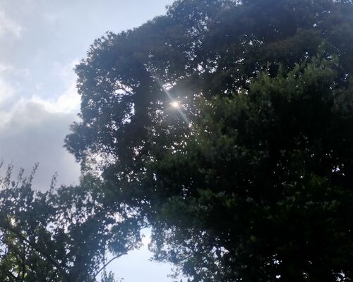 IMG20230915082641