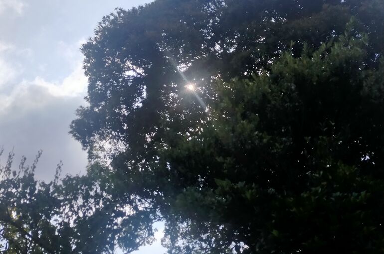 IMG20230915082641