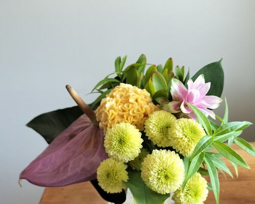 IMG20240820122029
