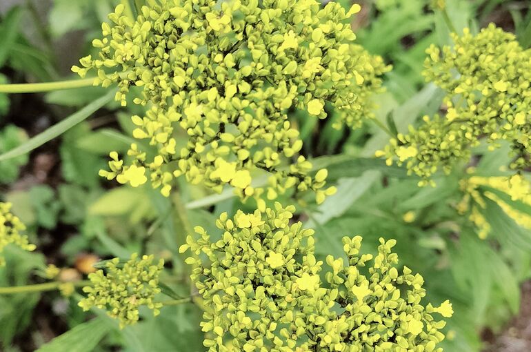 IMG20260915110230